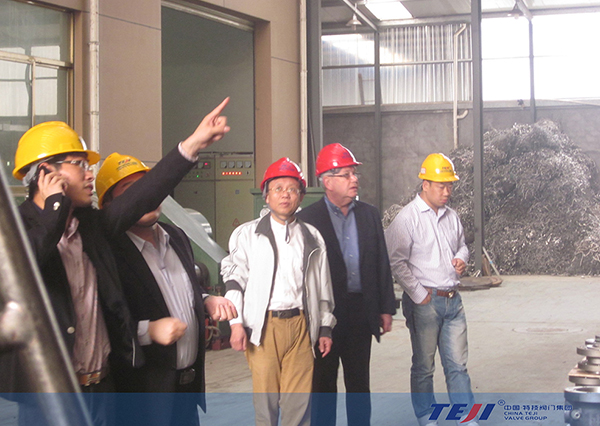 法國專家到我司考察指導