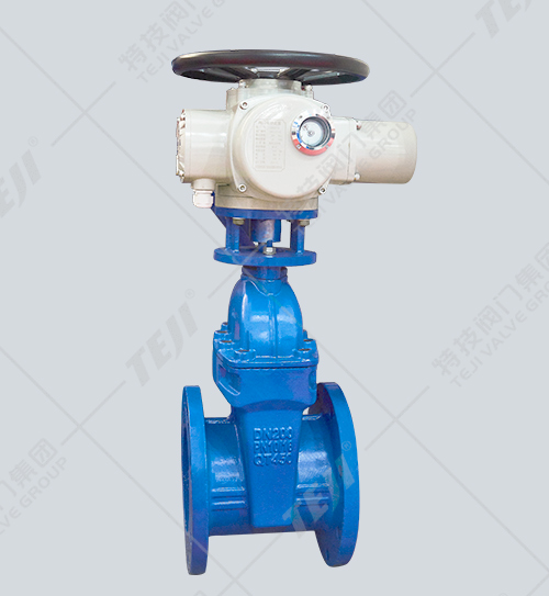 電動彈性座封閘閥