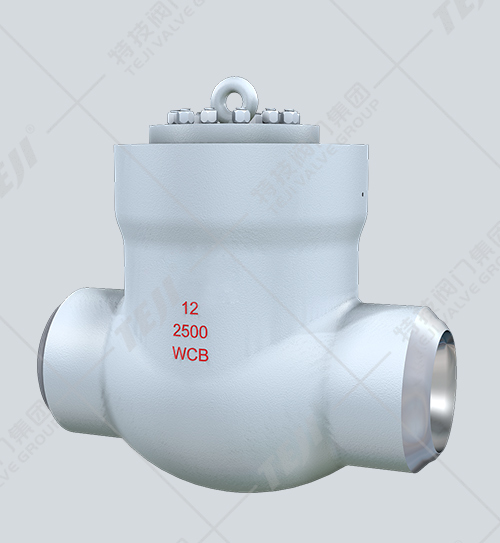 電站高壓旋啟式止回閥