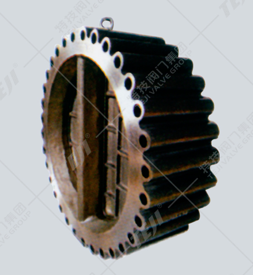 凸耳對夾雙瓣式止回閥