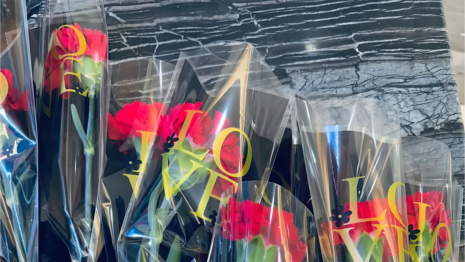 綻放巾幗風采，共繪特技輝煌